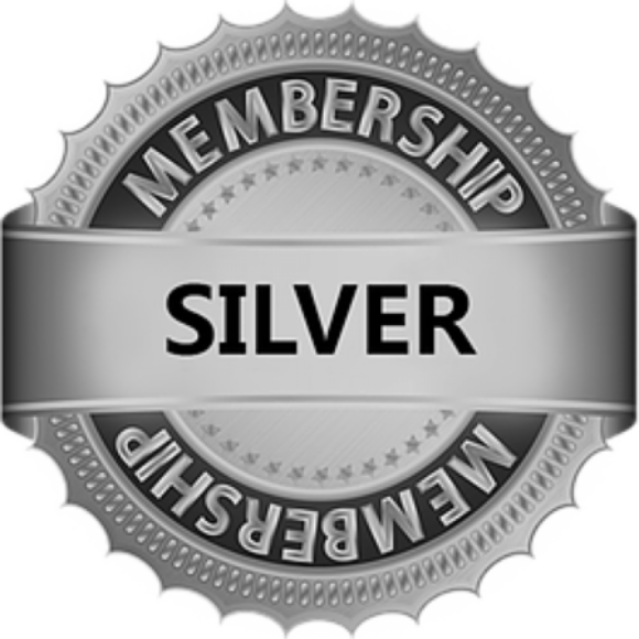 Group logo of Silver
